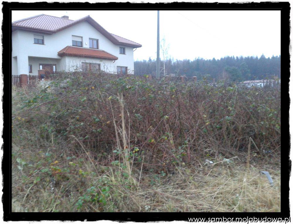 blog budowlany - mojabudowa.pl