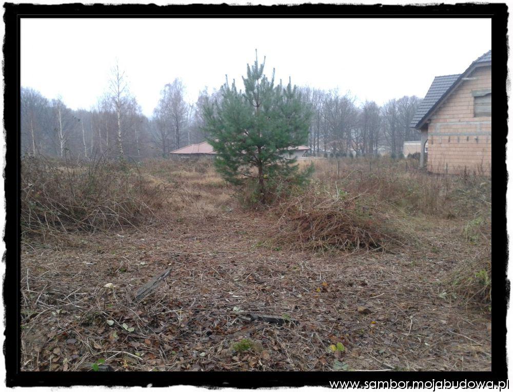 blog budowlany - mojabudowa.pl