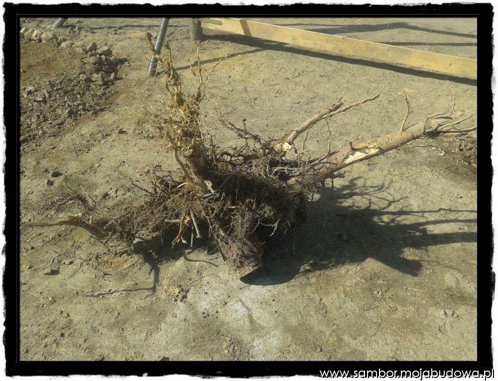 blog budowlany - mojabudowa.pl